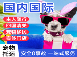 哈尔滨平房机场快运国际宠物托运 【国